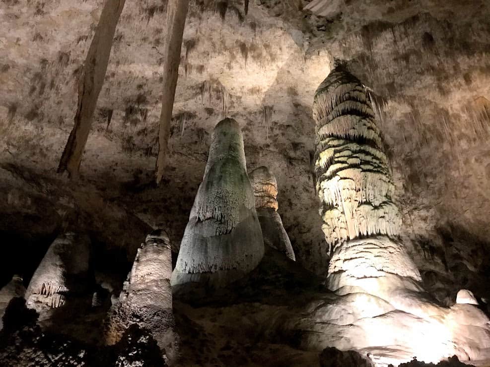massive speleothems in the Big Room in Carlsbad Caverns