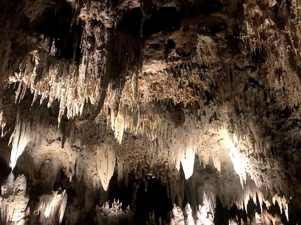 King's Palace Tour Carlsbad Caverns