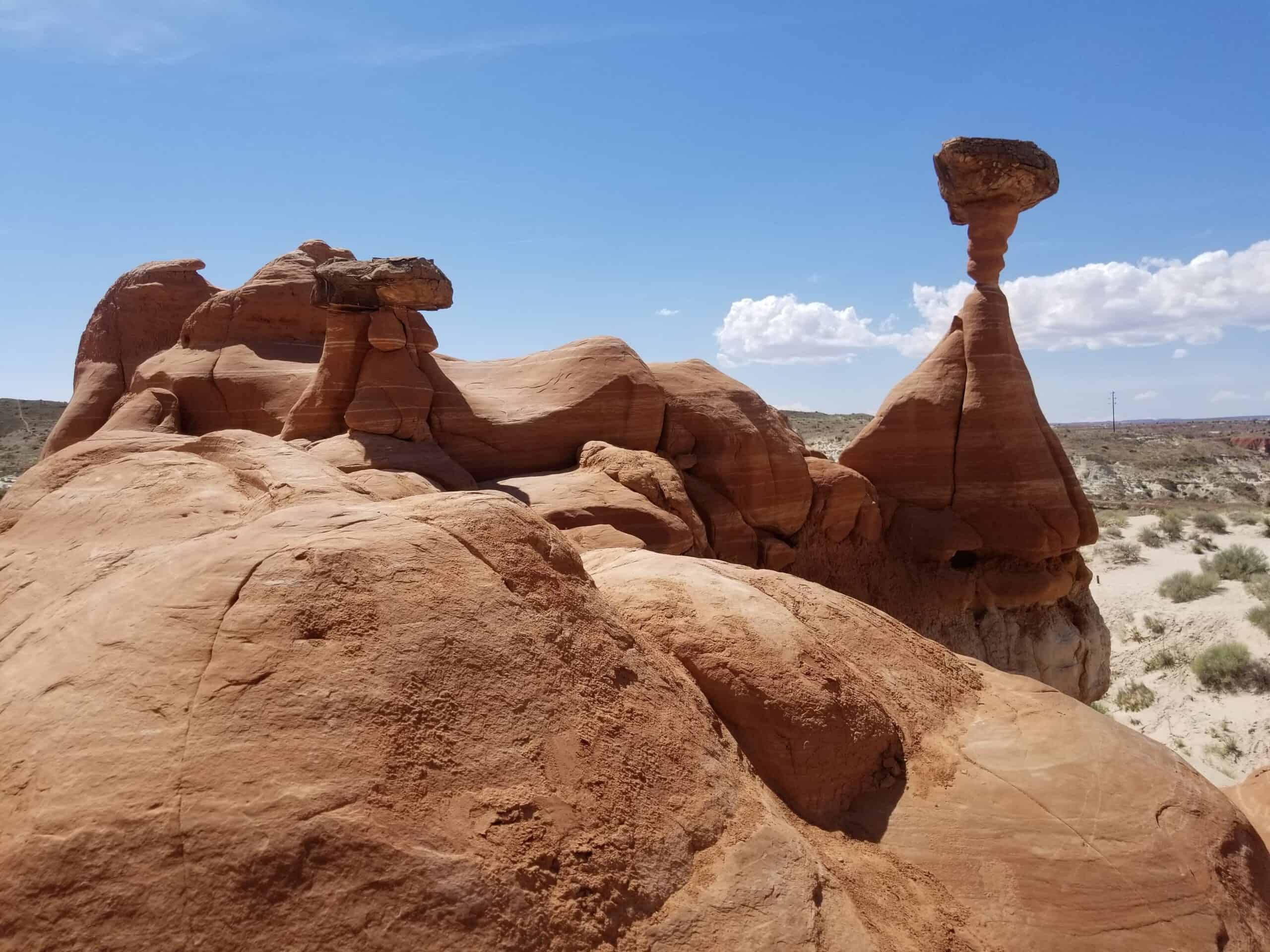 The Quirky Toadstools of Grand Staircase