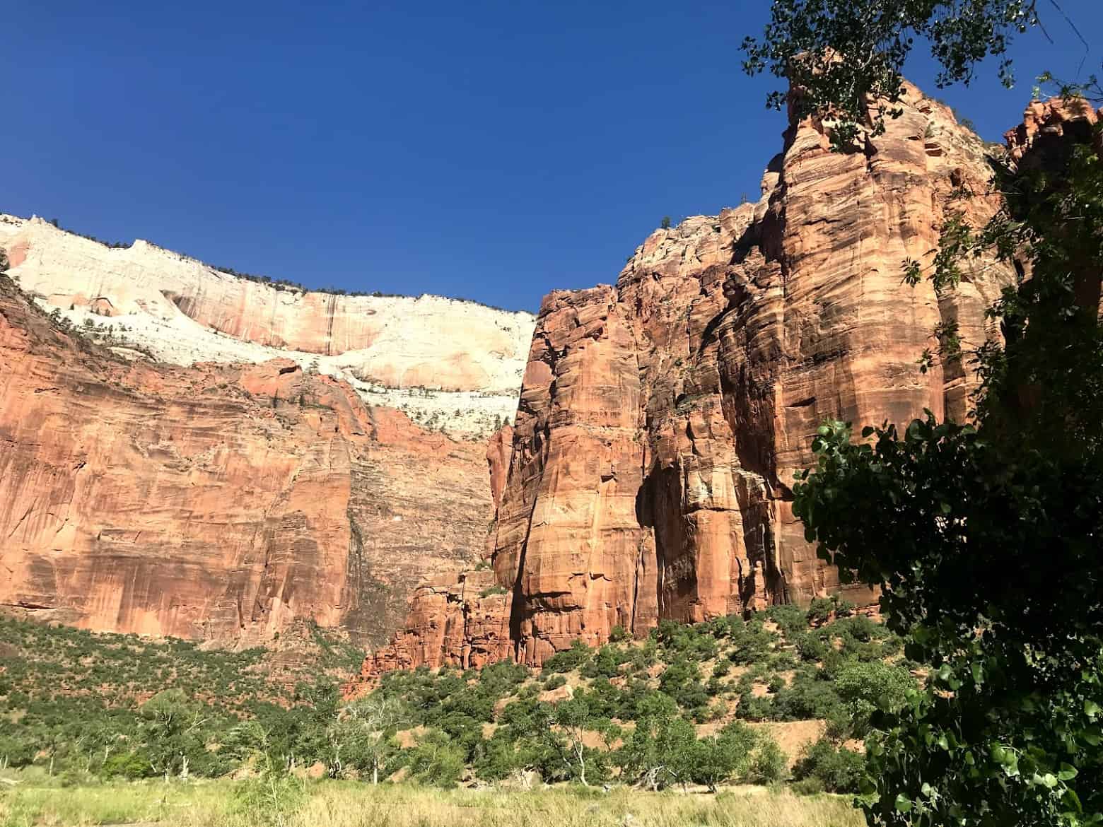 Easy, Relaxing Hikes in Zion National Park
