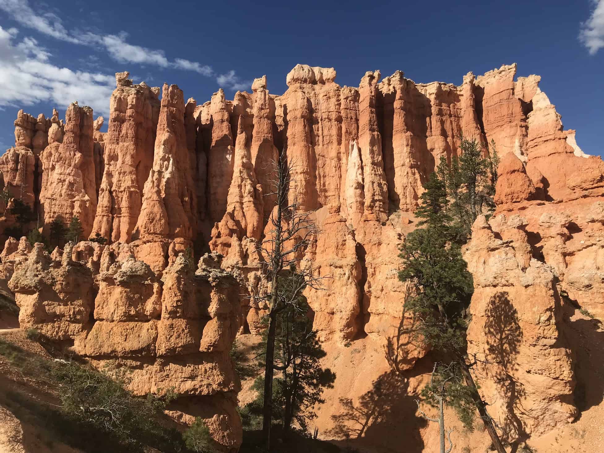 Bryce Canyon National Park Highlights