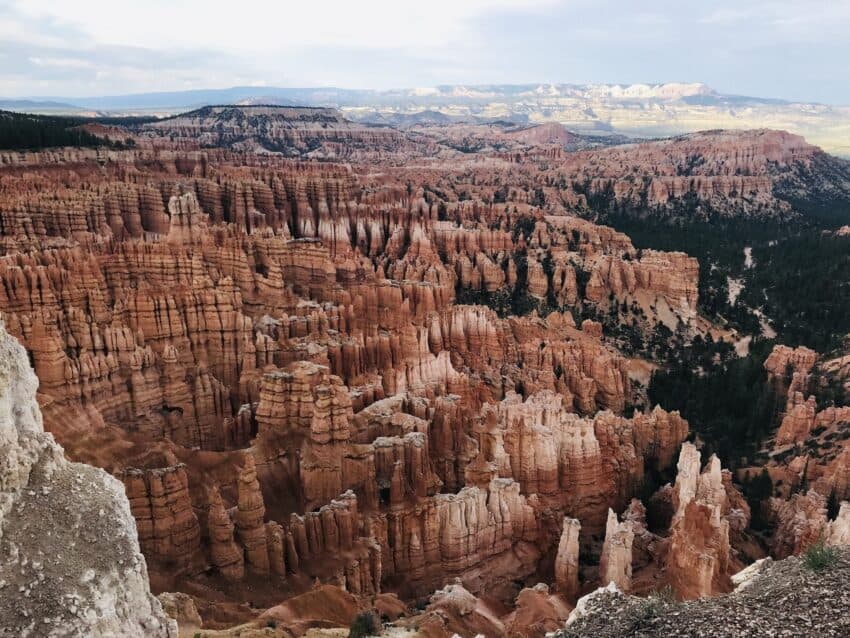 orange and white hoodoos in the amphitheater of Bryce Canyon National Park