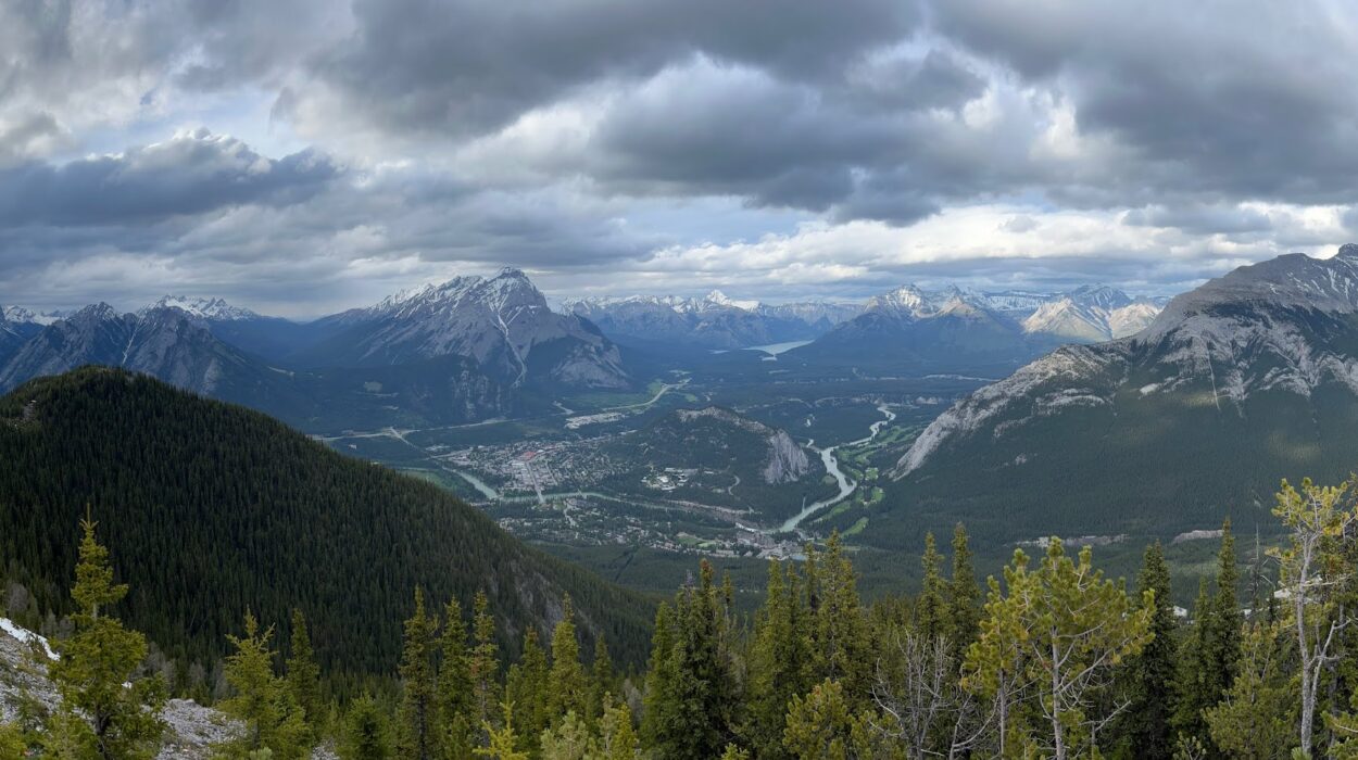 view of the mountains and trees from the Banff gondola lookout