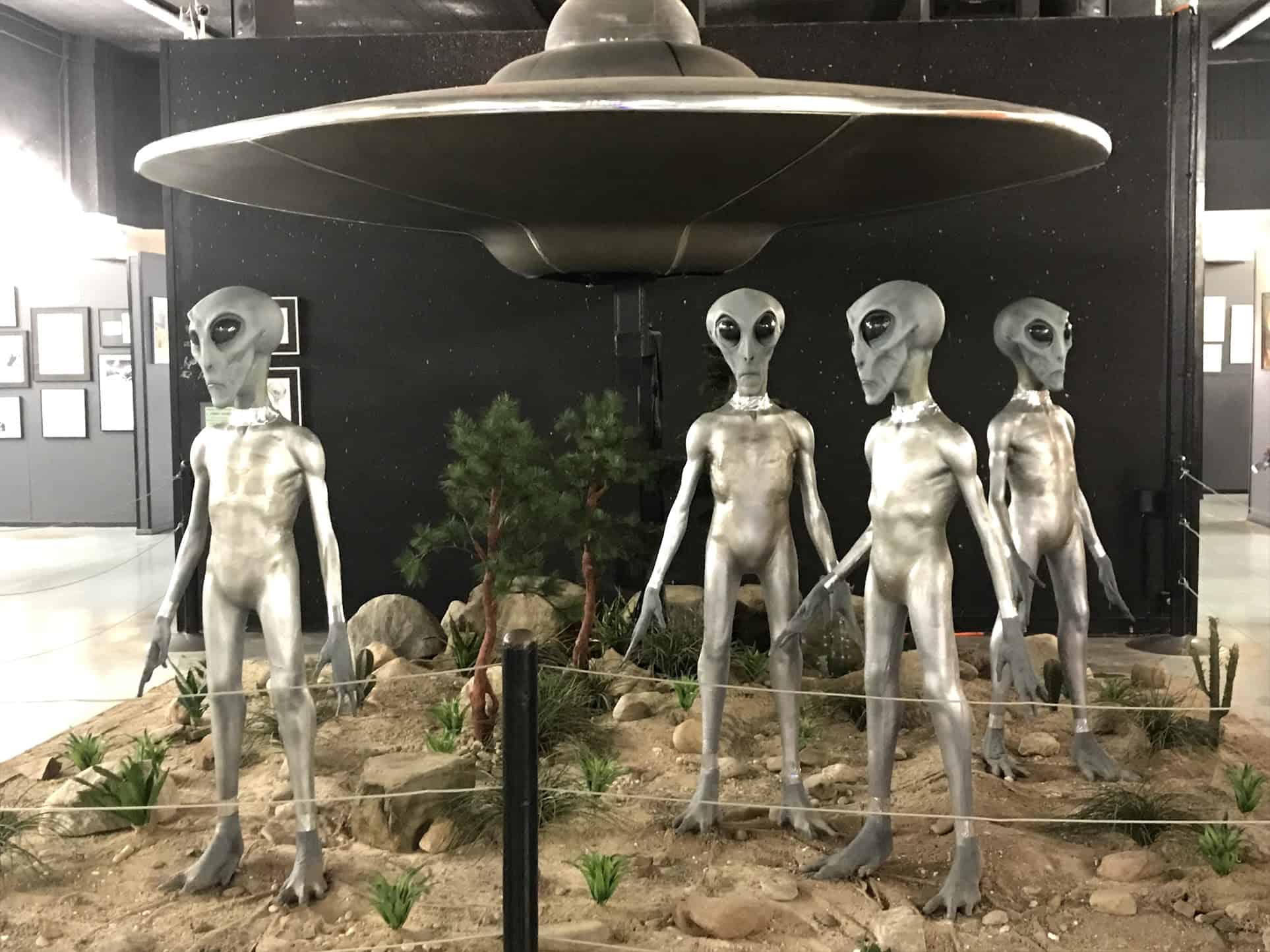 Roswell alien display