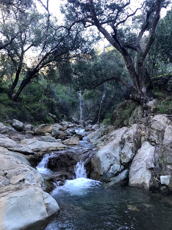 creek on the way to Inspiration Point Santa Barbara