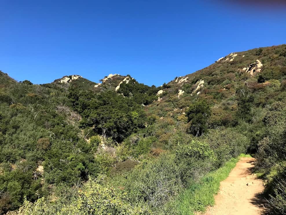 scrub and brushes on the Santa Ynez mountains, Inspiration Point Santa Barbara 