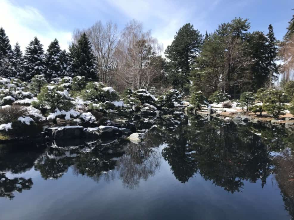a snow covered view of the Japanese gardens with their reflecting pond
