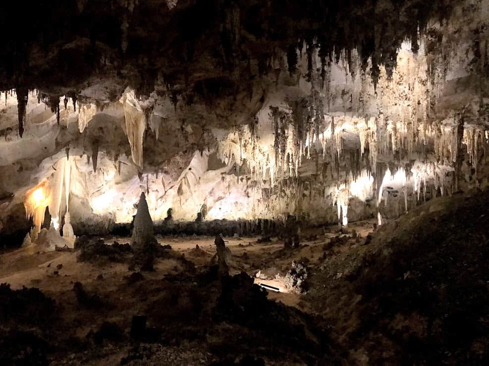a large room of stalactites and stalagmites at Carlsbad Caverns in the Papoose Room 