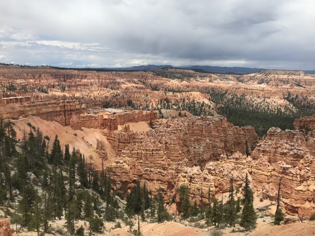 view of Bryce canyon orange hoodoos with some green trees