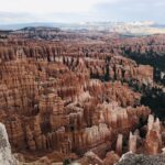 orange and white hoodoos in the amphitheater of Bryce Canyon National Park
