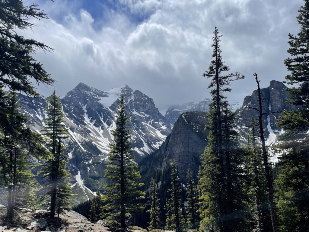 more snow covered mountains and pine trees