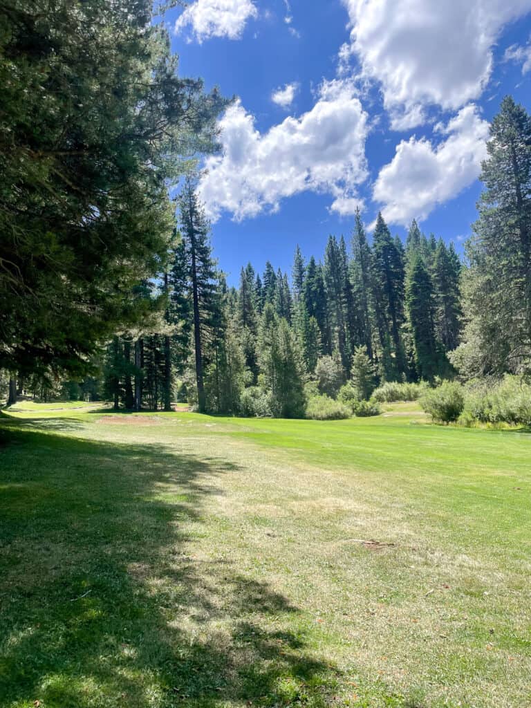 views of the greens at Tahoe Paradise Golf Course next to evergreen trees and a blue sky 